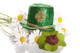 San Diego's Gaslamp District: Saint Patrick's Day Hot Spot