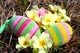 Easter Specials in Dallas