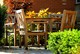 Noteworthy Summer Specials with the Cohn Restaurant Group