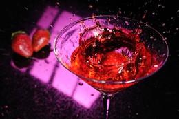 Lavo