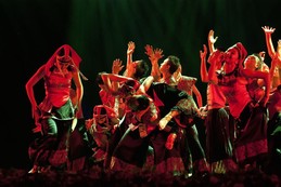 The Cygnet Theatre