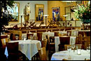 Chaya Venice