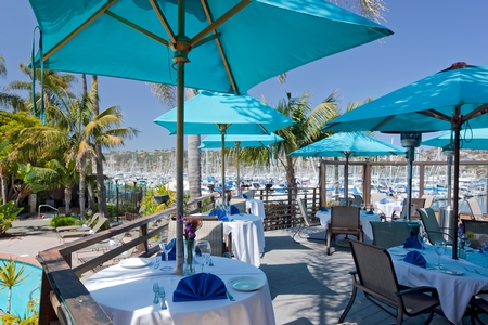 Blue Wave Bar and Grill