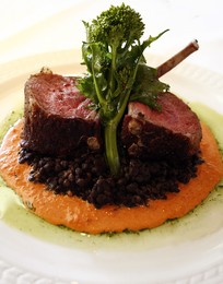 Terra American Bistro